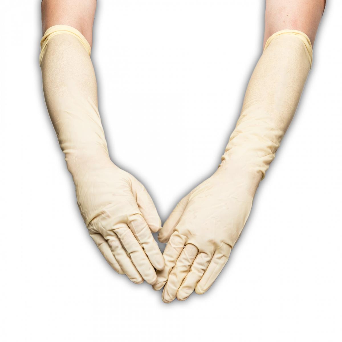 Endure Sterile Latex Surgical Gloves Elbow Length Powder Free (7.5